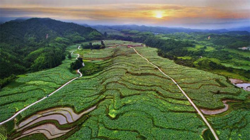 科技助力，農(nóng)旅結(jié)合 紅色老區(qū)建寧“綠色崛起”