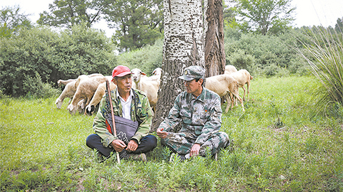 高清大圖｜塞北荒山，老兵播種“綠色夢”