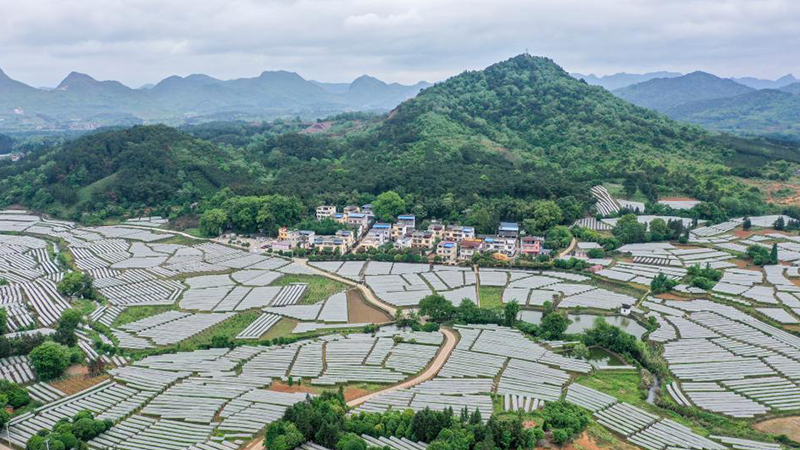 特稿：中國兩會的世界期待