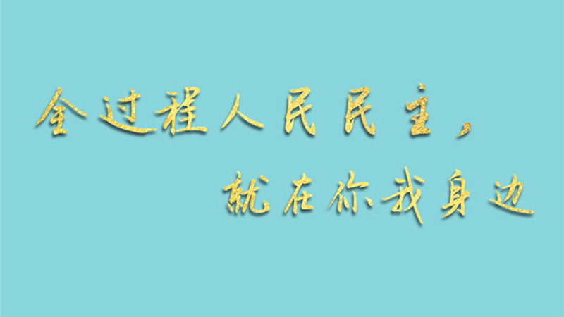 兩會手繪長卷：全過程人民民主，就在你我身邊