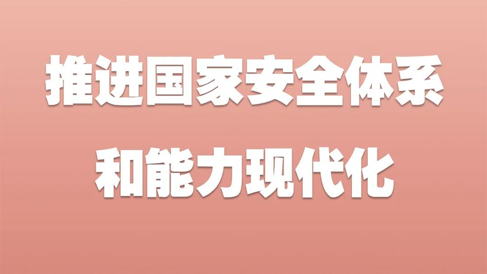 長圖解碼丨推進國家安全體系和能力現(xiàn)代化